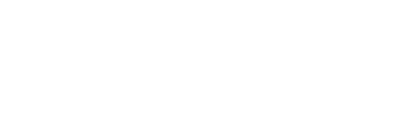 BOUNTY HUNTER